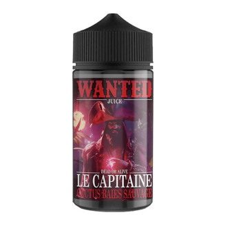 E-liquide Big Gum 200ml - Wanted Juice
