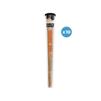 Pré-rolls Orange Bud (x10) - Smooth Company